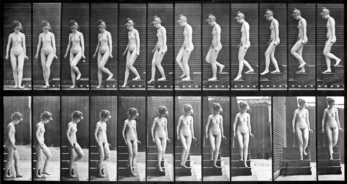 Muybridge motion study Muybridge motion study