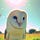 X avatar for @owl_posting