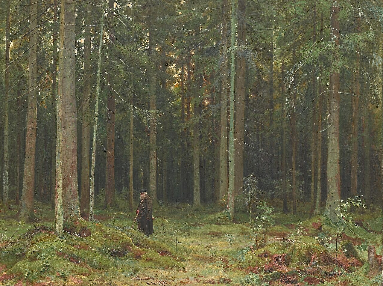 A vast forested panorama seen from a height, receding into blue distance under a wide sky A vast forested panorama seen from a height, receding into blue distance under a wide sky