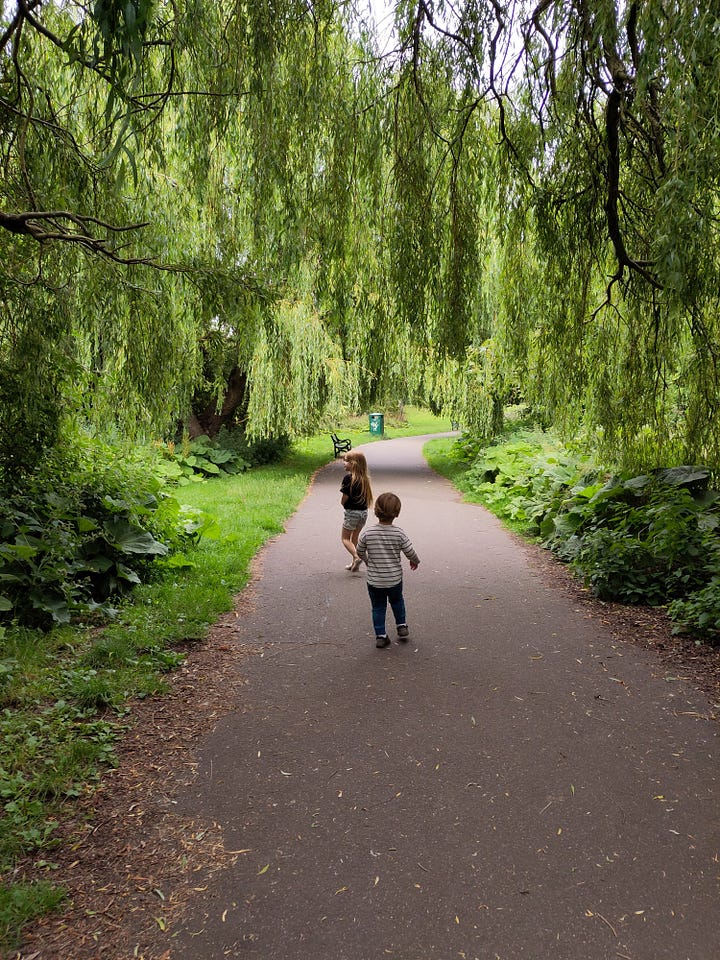 two pictures, the left on is a tree branch extended over a creek. The picture on the right shows two children walking on a path under a willow tree.