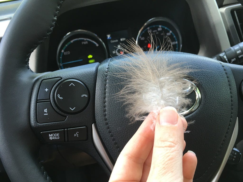 A hand holding a feather on a steering wheel

AI-generated content may be incorrect.