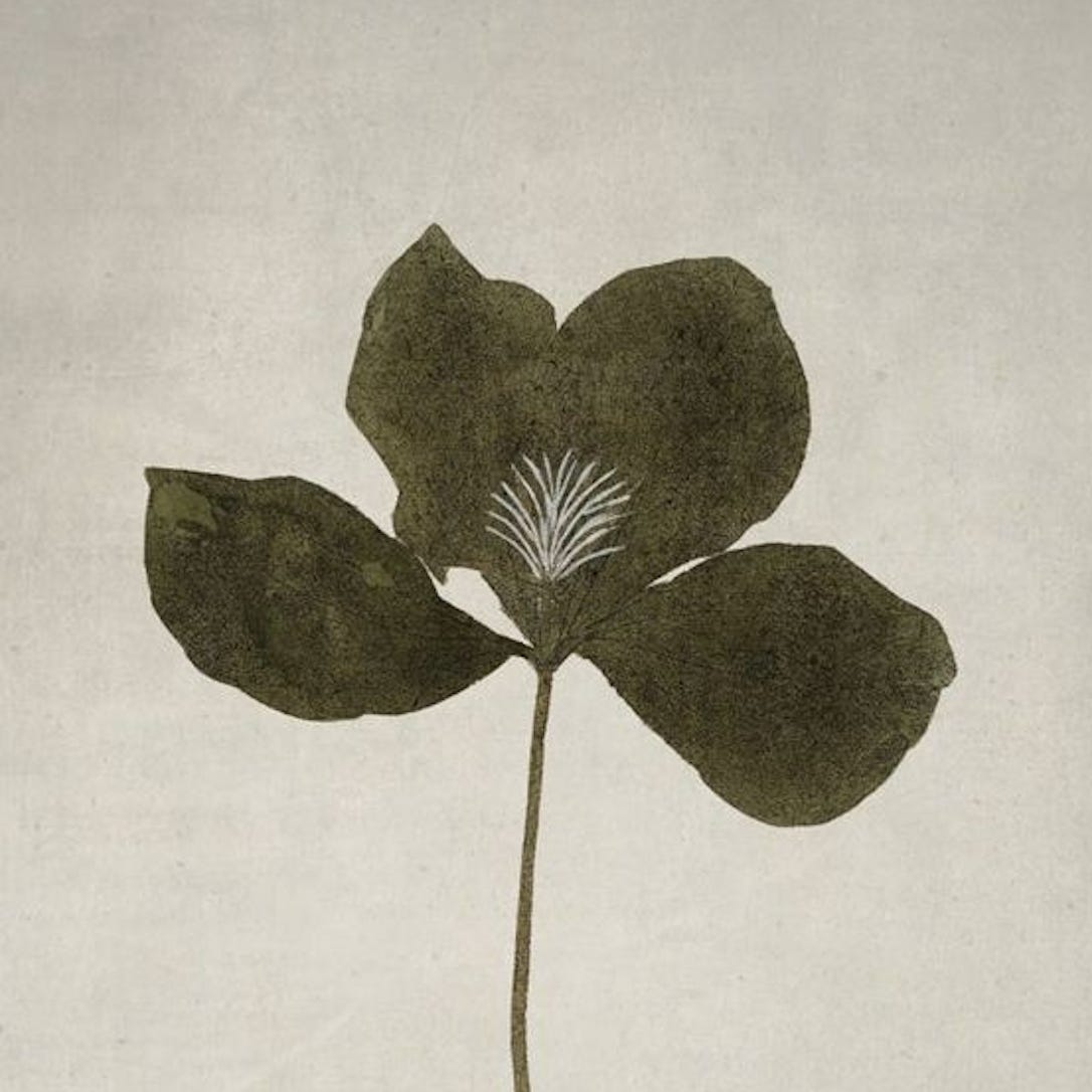 seeds of the self