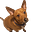Suzanne Cone's avatar