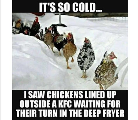 Day Brighteners (or not)