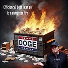 DOGE’s ‘Efficiency’ Plan Is a Dumpster Fire