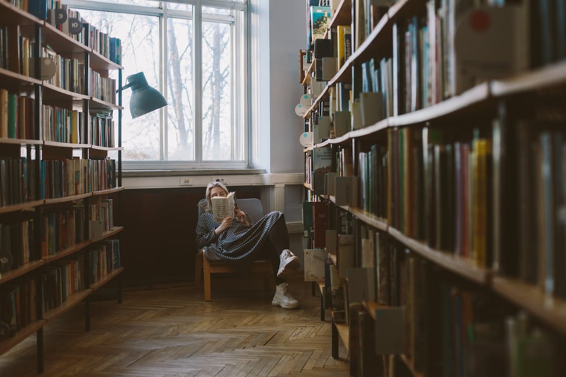 Free Photo Of Woman Reading Book Stock Photo Free Photo Of Woman Reading Book Stock Photo