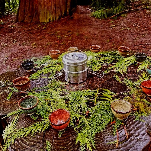 tea cups are placed in a circle on an large stump. cedar leaves are arranged around the cups, and a metal container is in the middle. a redcedar is in the background. tea cups are placed in a circle on an large stump. cedar leaves are arranged around the cups, and a metal container is in the middle. a redcedar is in the background.