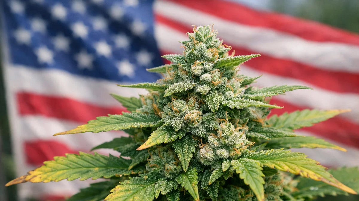 Problem Pot America Doesn’t Have a Marijuana Problem. It Has a Marijuana Solution.