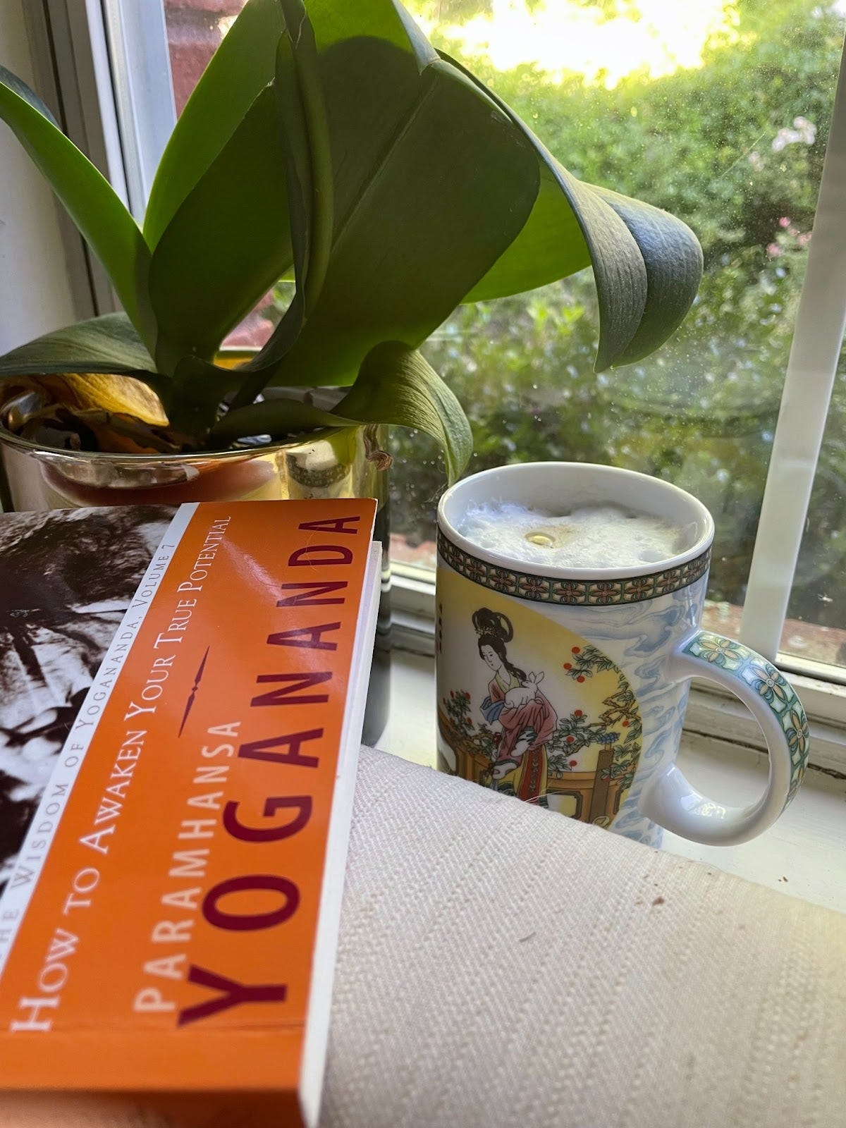 A houseplant, a homemade latte in a mug, and a book bathed in natural light by a window