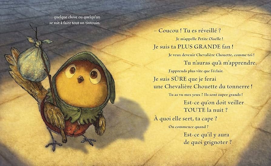 Chevalier Chouette et Petite Oiselle - Denise, Christopher, Billaud, Claire  - Livres - Amazon.fr
