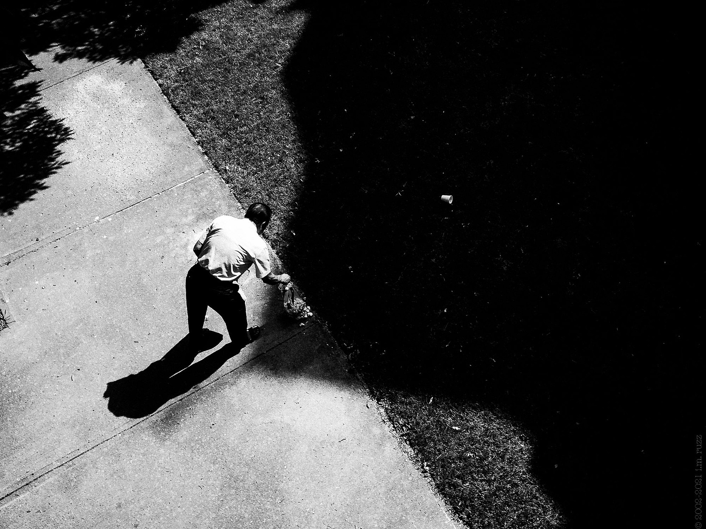 On roots, black and white and what persists.