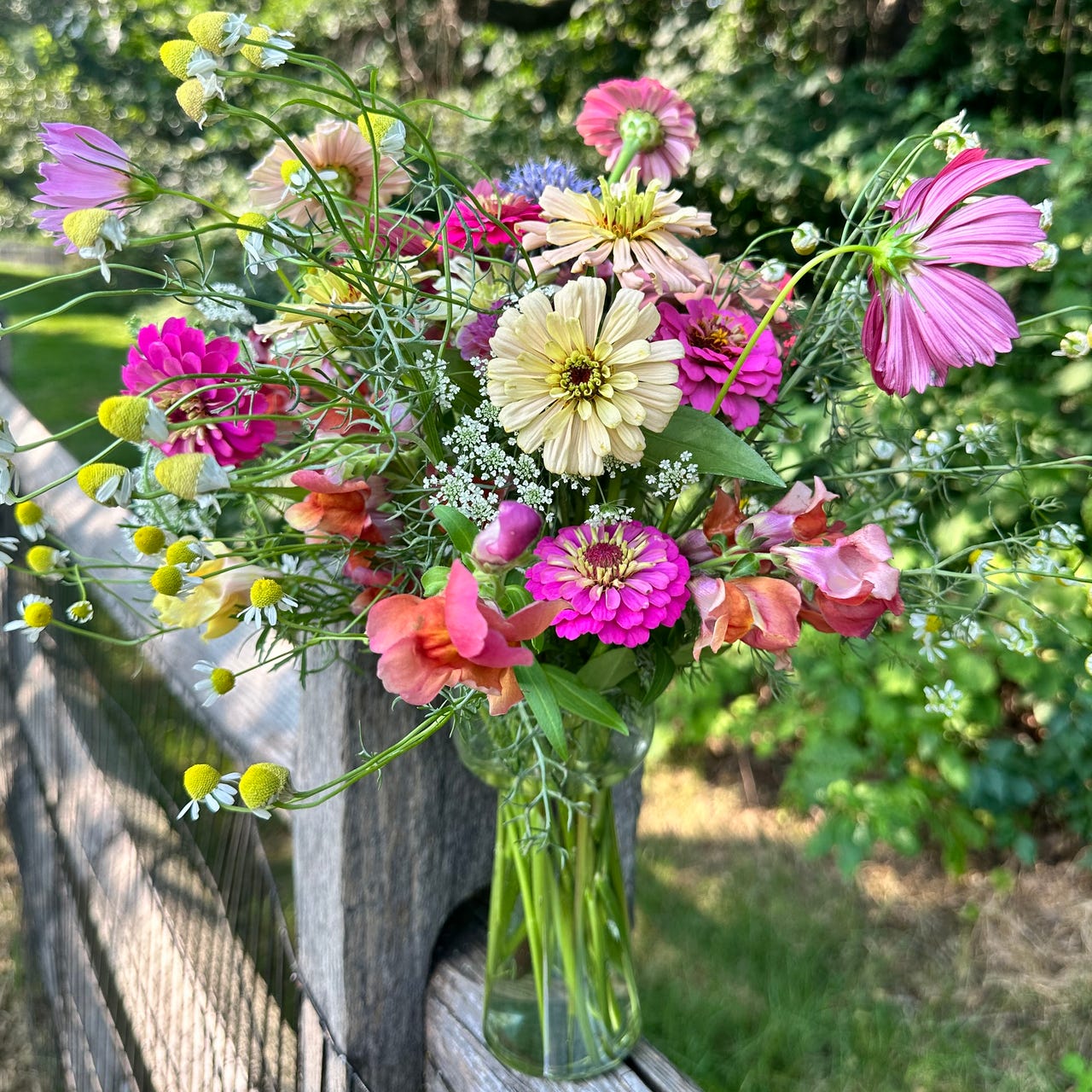 Artwork for Garden in the Valley