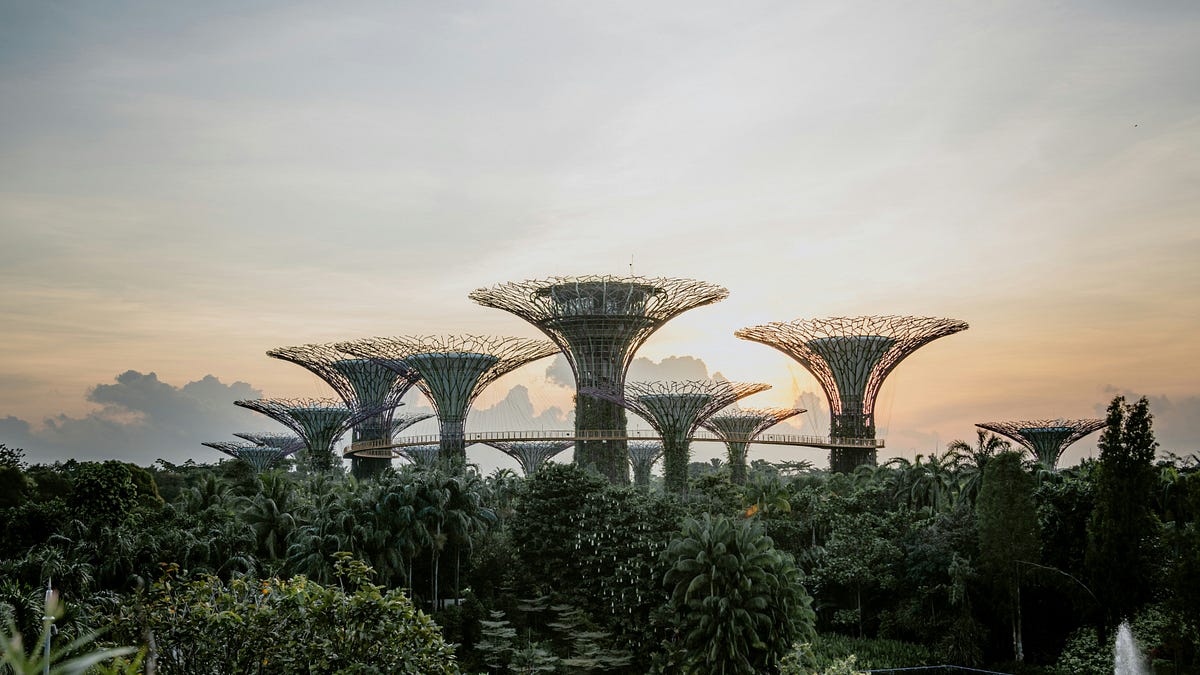 The Solarpunk Movement - by Larry Matoyo - Wino Journal