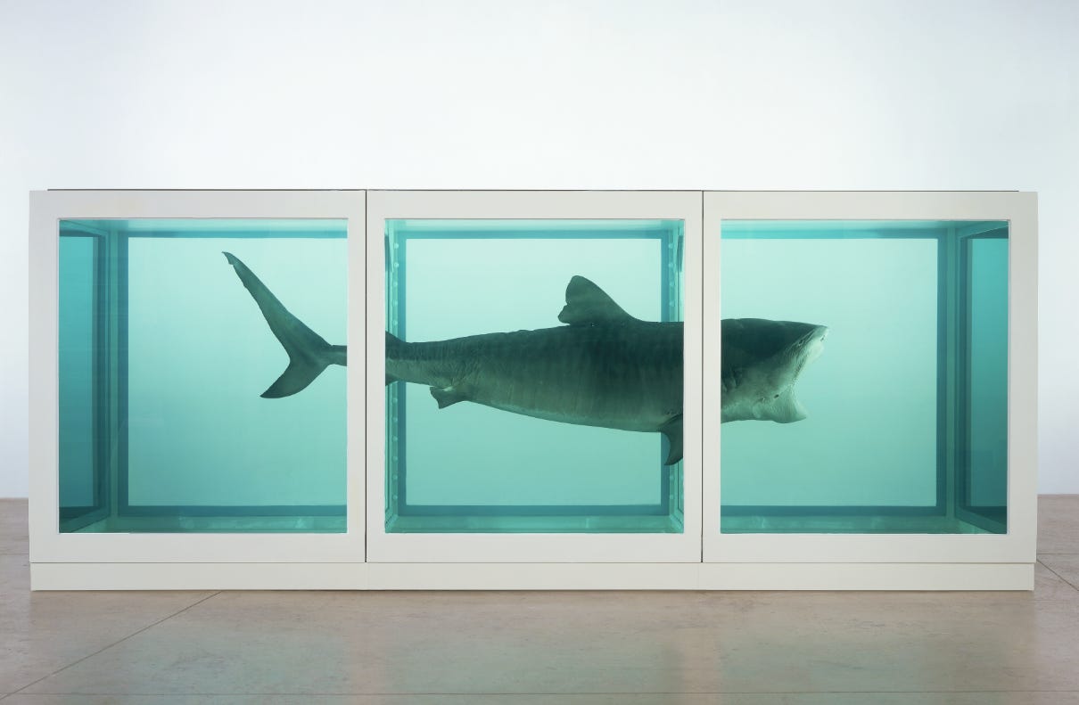Damien Hirst, The Physical Impossibility of Death in the Mind of Someone Living. 1991. Damien Hirst, The Physical Impossibility of Death in the Mind of Someone Living. 1991.
