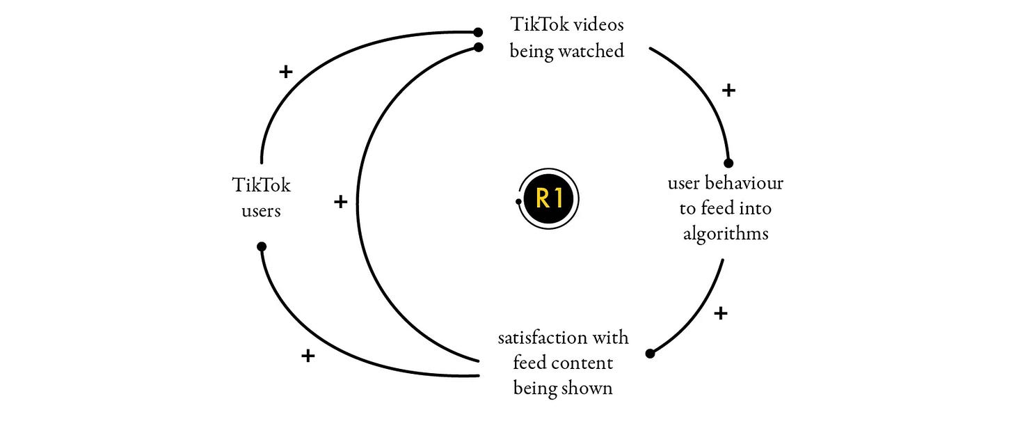 A causal loop diagram illustrating the reinforcing feedback loop (R1) of TikTok’s algorithm. The diagram shows four main elements: ‘TikTok users,’ ‘TikTok videos being watched,’ ‘user behaviour to feed into algorithms,’ and ‘satisfaction with feed content being shown.’ Arrows indicate positive relationships between these elements, forming a cycle that reinforces itself.