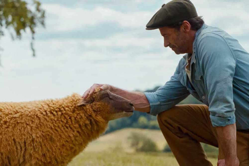 The Sheep Detectives' Review: Family Comedy With Bags Full of Charm