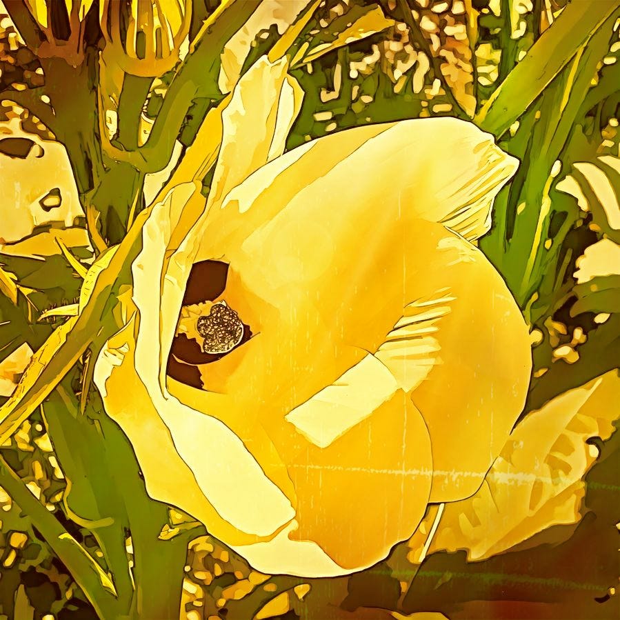 Ozark Freedom Garden