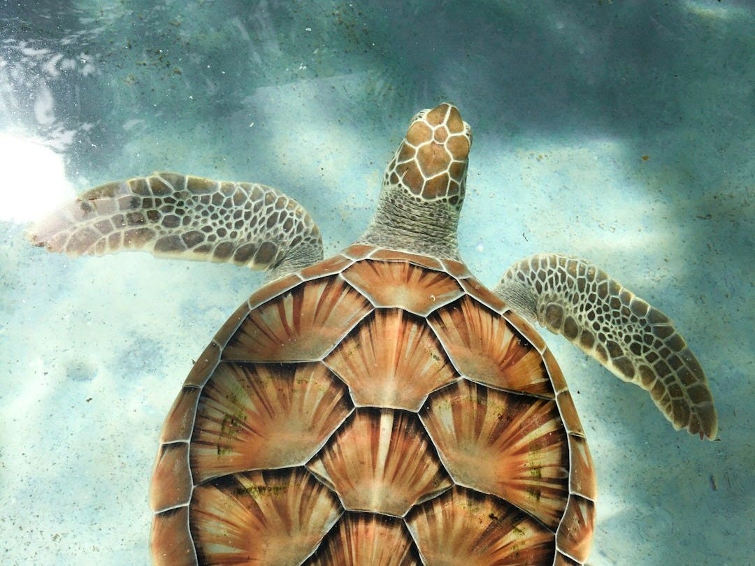 Les 7 Bonnes Nouvelles du Lundi 3 Novembre 2025