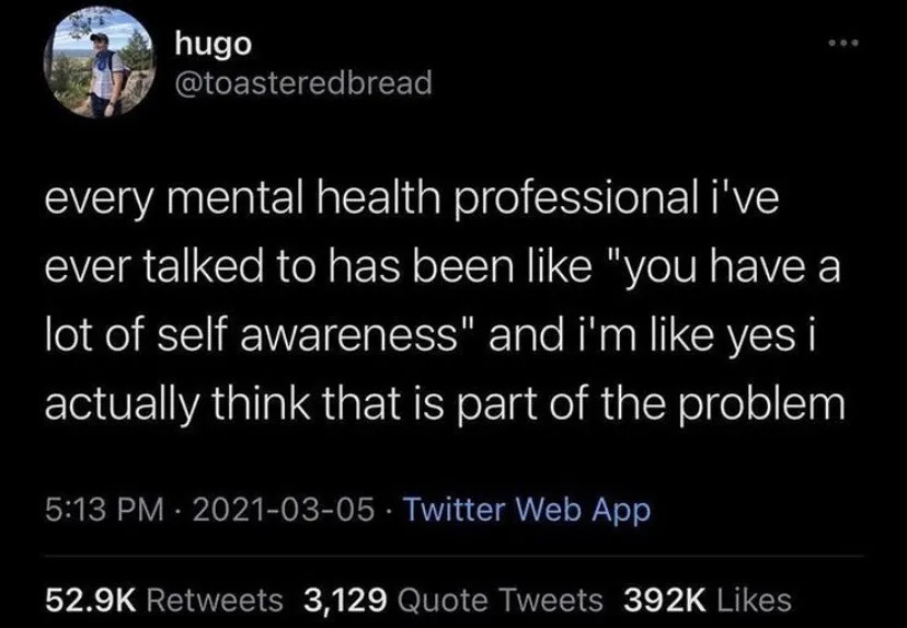 tweet from @toasteredbread which says: "every mental health professional I've ever talked to has been like, you have a lot of self awareness, and i'm like yes i actually think that is part of the problem." tweet was posted in 2021.