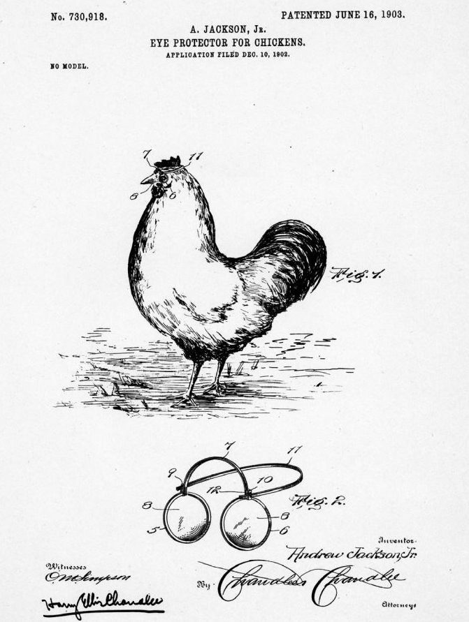  Tennessee farmer Andrew Jackson was so concerned his flock would be pecked in the eyes by rival birds he invented these chicken safety glasses. Features include construction that makes them easy to put on and remove plus there are promises that there will be 'no hindrance to the chicken's eyesight'
