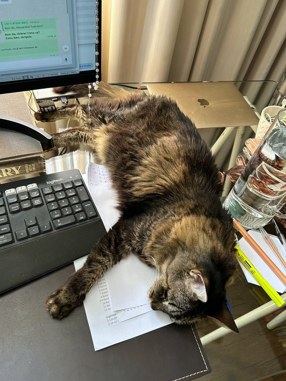 Athena, a long-haired tabby, is sprawled across a desk, resting her head on a piece of paper. Her fluffy body stretches toward a computer monitor, with her front paw reaching over the keyboard. A laptop, glass of water, and several pens are nearby, creating a busy yet cozy workspace. Athena appears relaxed, her fur illuminated by natural light. Athena, a long-haired tabby, is sprawled across a desk, resting her head on a piece of paper. Her fluffy body stretches toward a computer monitor, with her front paw reaching over the keyboard. A laptop, glass of water, and several pens are nearby, creating a busy yet cozy workspace. Athena appears relaxed, her fur illuminated by natural light.