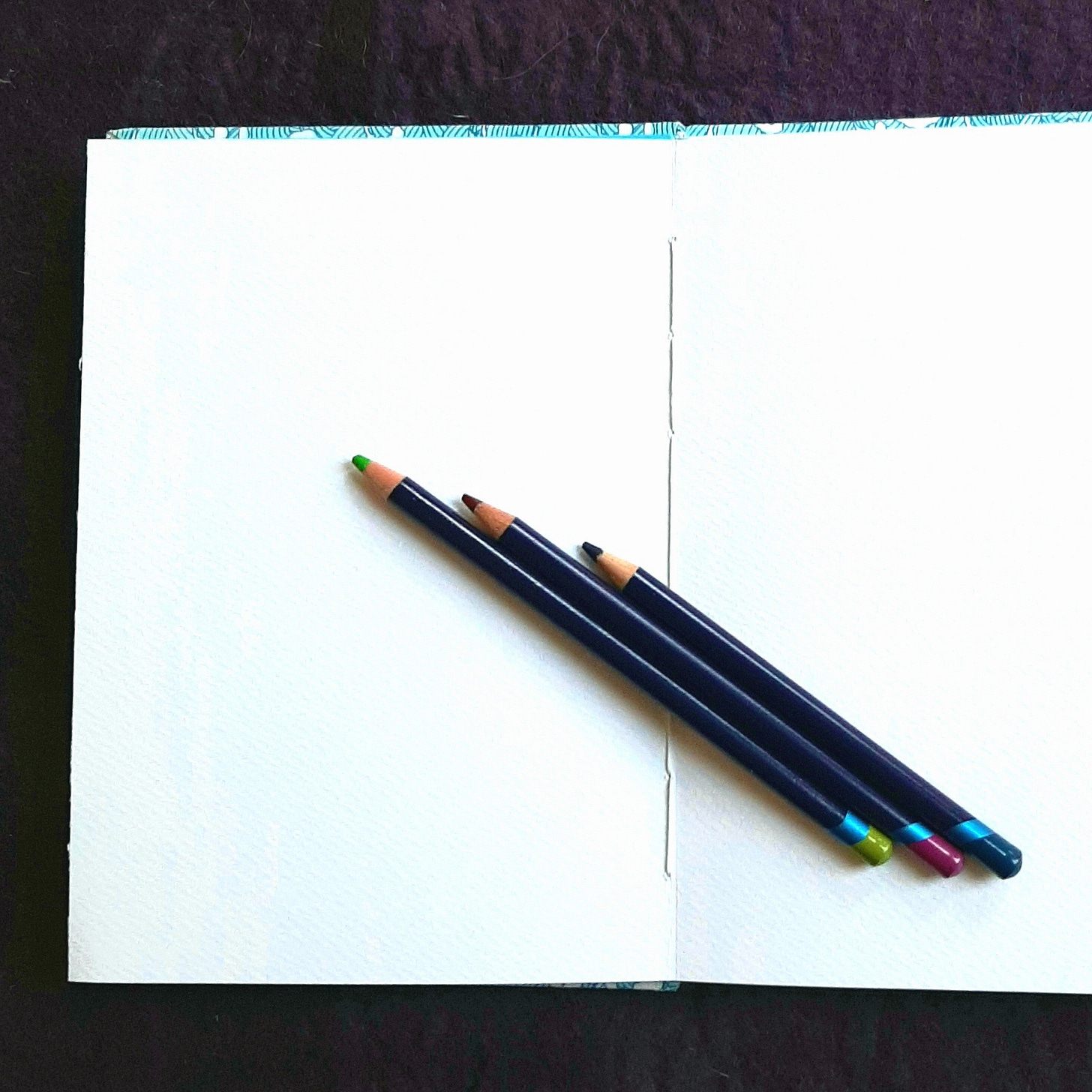 The Creatrix Experience ©2023 Elizabeth des Roches