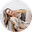 Mara Melia's avatar