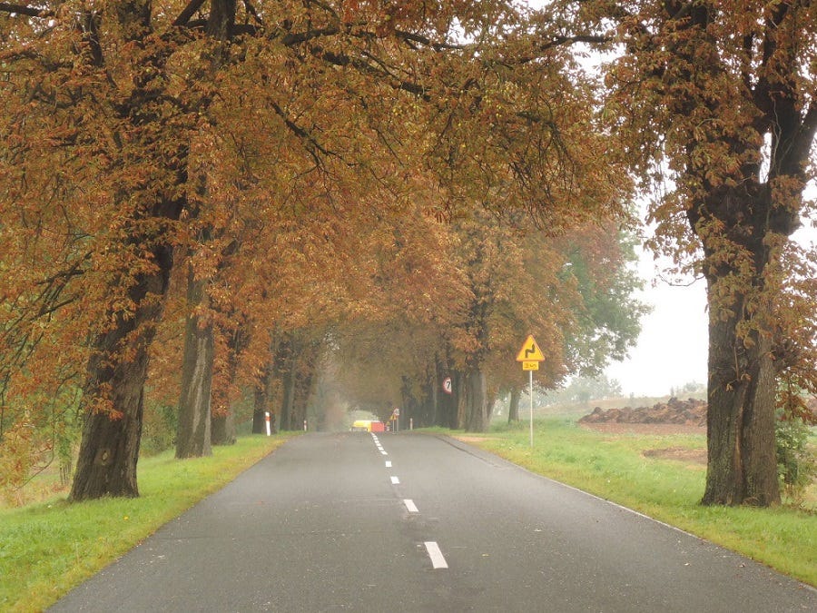 Empieza el otoño, continúa la ruta