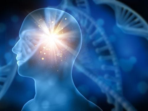 Free photo human brain
