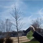 Ron DeSantis Worried Bill Banning Chemtrails And 'Weather Manipulation' Doesn't Go Far Enough