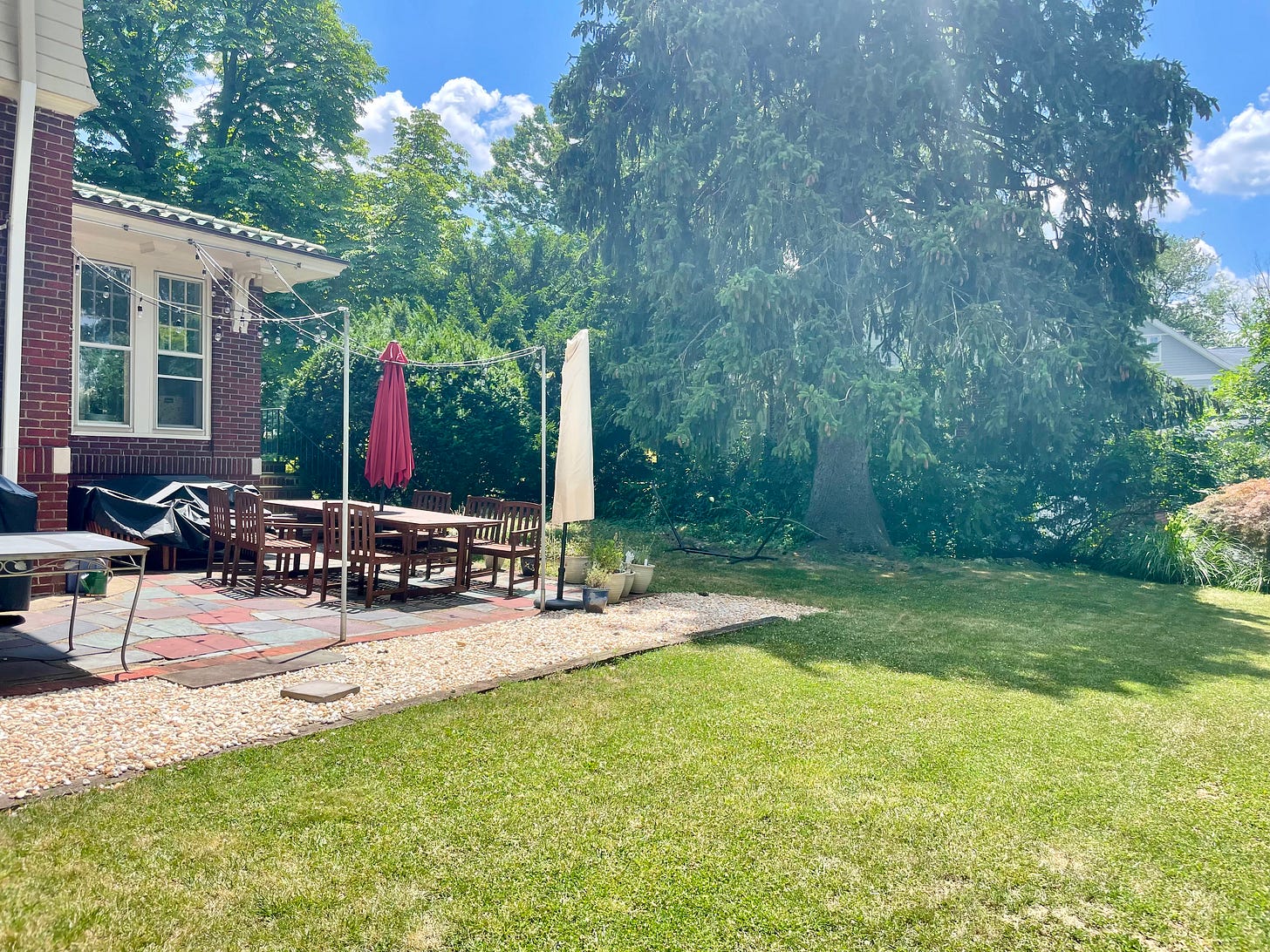 sun-soaked back yard sun-soaked back yard