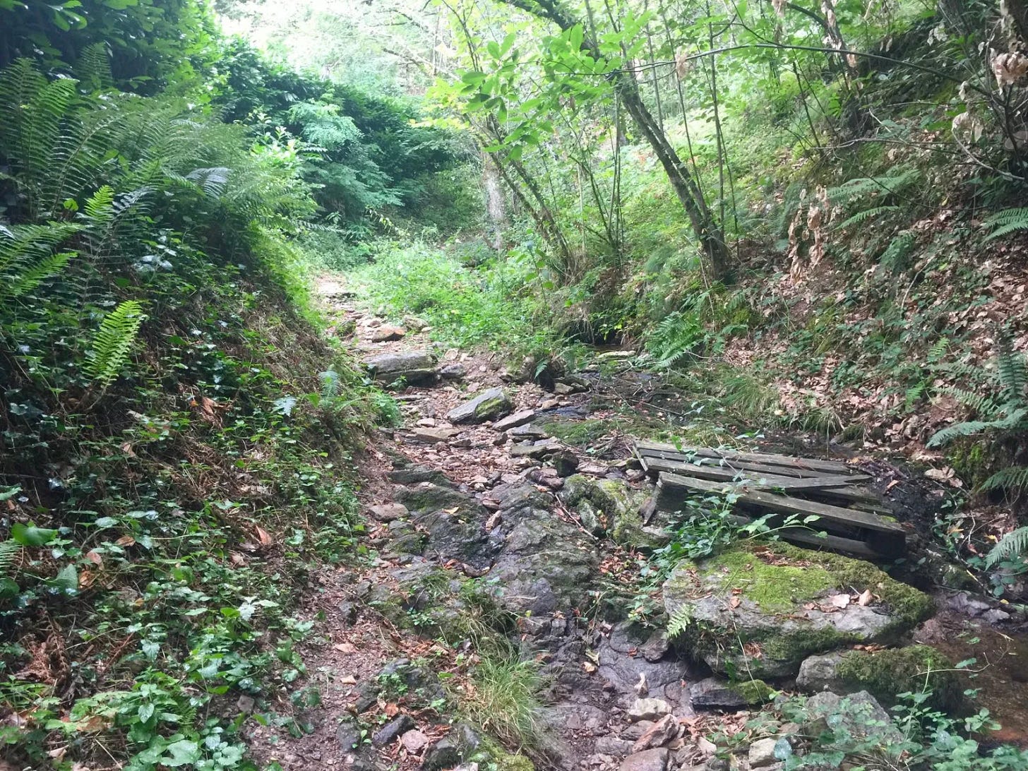 Un peu de technique Un peu de technique