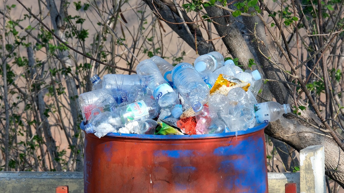 Image: Adam Constanza / shutterstock.com