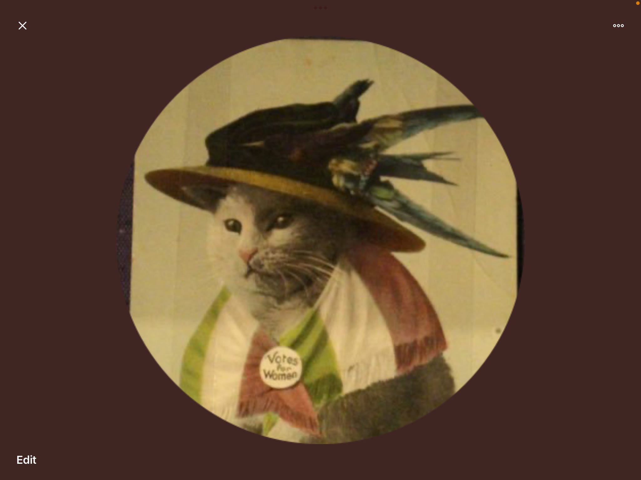 Lorelei’s Newsletter