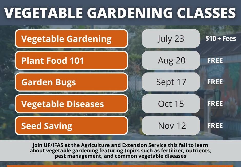 UF/IFAS to Offer Fall Vegetable Gardening Series in Manatee County