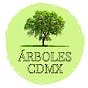 Árboles de la Ciudad de México's avatar