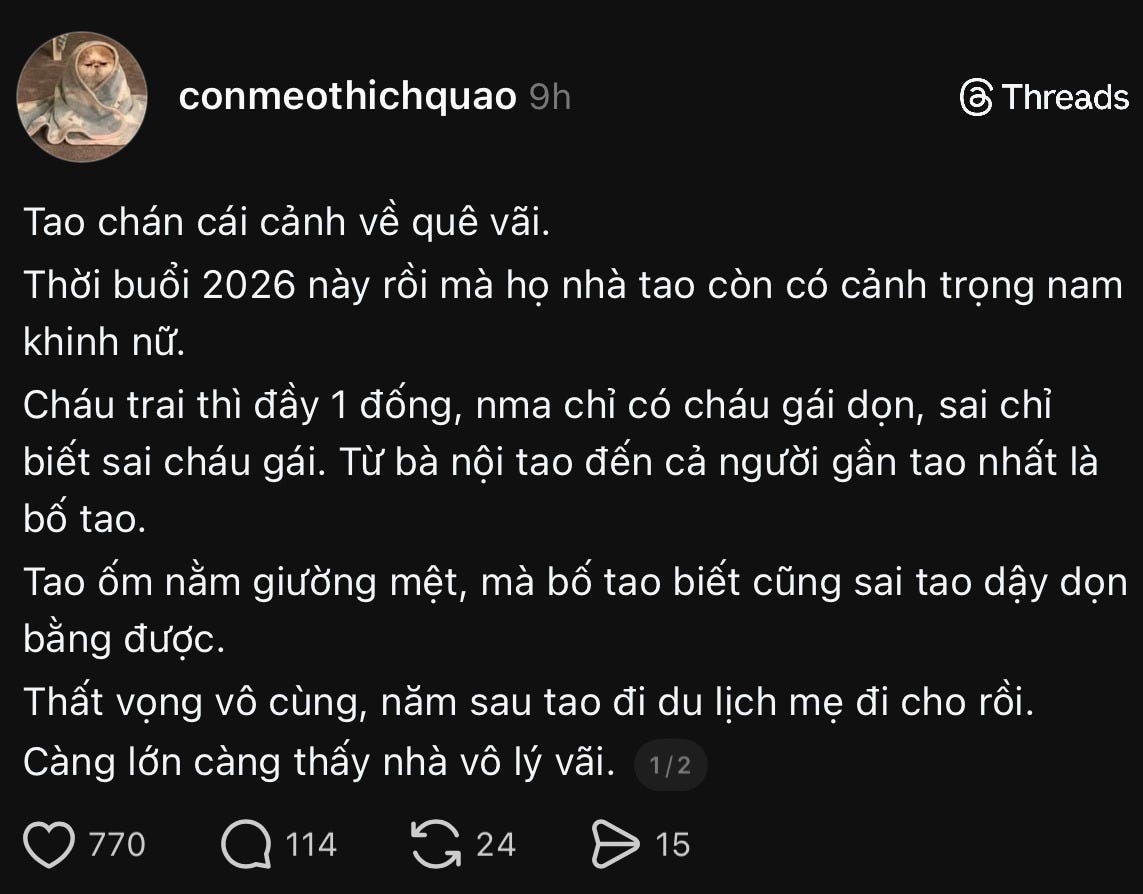 Hình minh họa không khí Tết tại Việt Nam