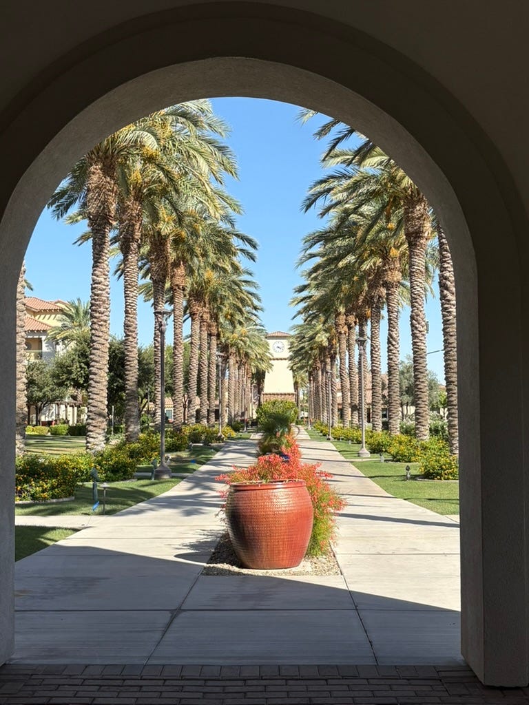 Palm-tree lined walkway bisected by desert plantings Palm-tree lined walkway bisected by desert plantings