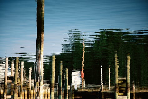 The Watercolors: subversion project