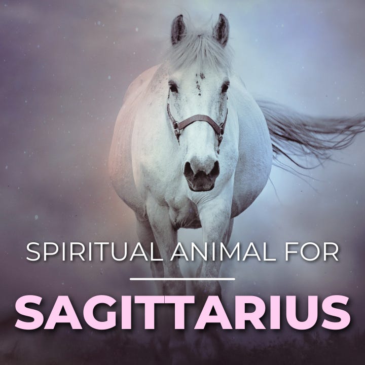 Sagittarius Spirit Animals Meanings: Spirit Animal for Sagittarius?