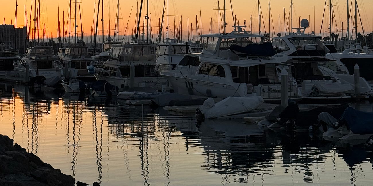 My Favorite Fun FREE Things to Do In San Diego