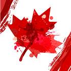 Is Canada Trying to Recruit U.S. Professors?