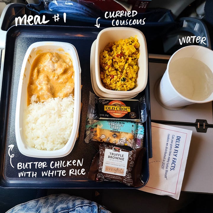 Delta airline meal #1