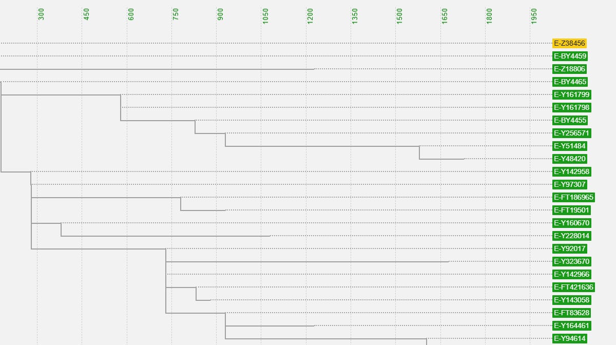 arbanology.substack.com