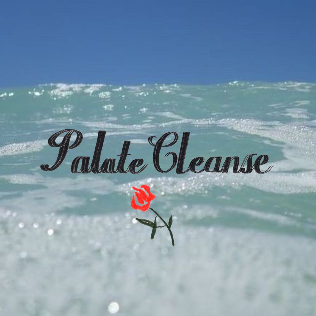 PALATE CLEANSE logo