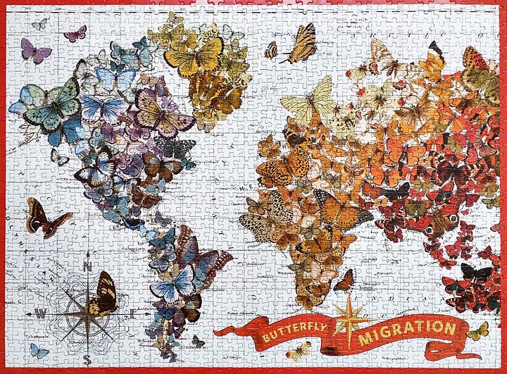 A Selection of My Galison Jigsaw Puzzles