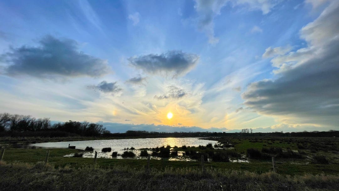 a colorful sunset above flat fields, partly under water, a birds' paradise near home