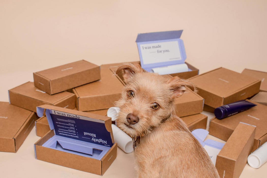 cute puppy surrounded by small wooden boxes (Writers can think outside the box)