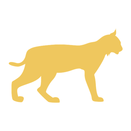 Early Stage NYC, by Lynx Collective