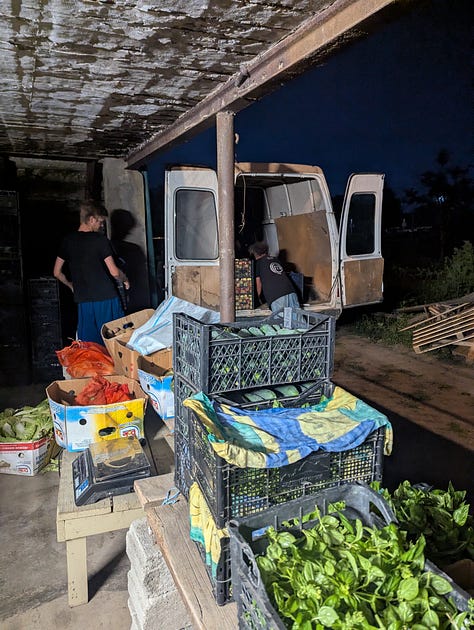 Packing boxes for delivery